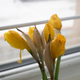 Image for article titled Panasonic GM1 Review: A Bite-Size Mirrorless Camera With Pedigree